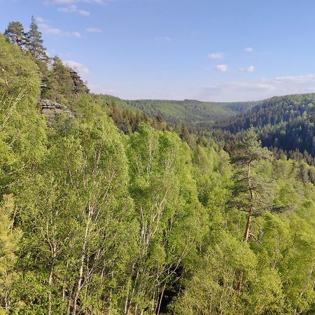 Ferienwohnung Saechsische Schweiz Rosenthal-Bielatal Exteriör bild
