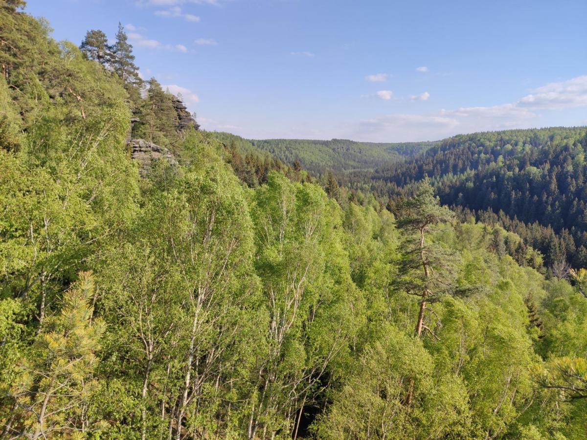 Ferienwohnung Saechsische Schweiz Rosenthal-Bielatal Exteriör bild